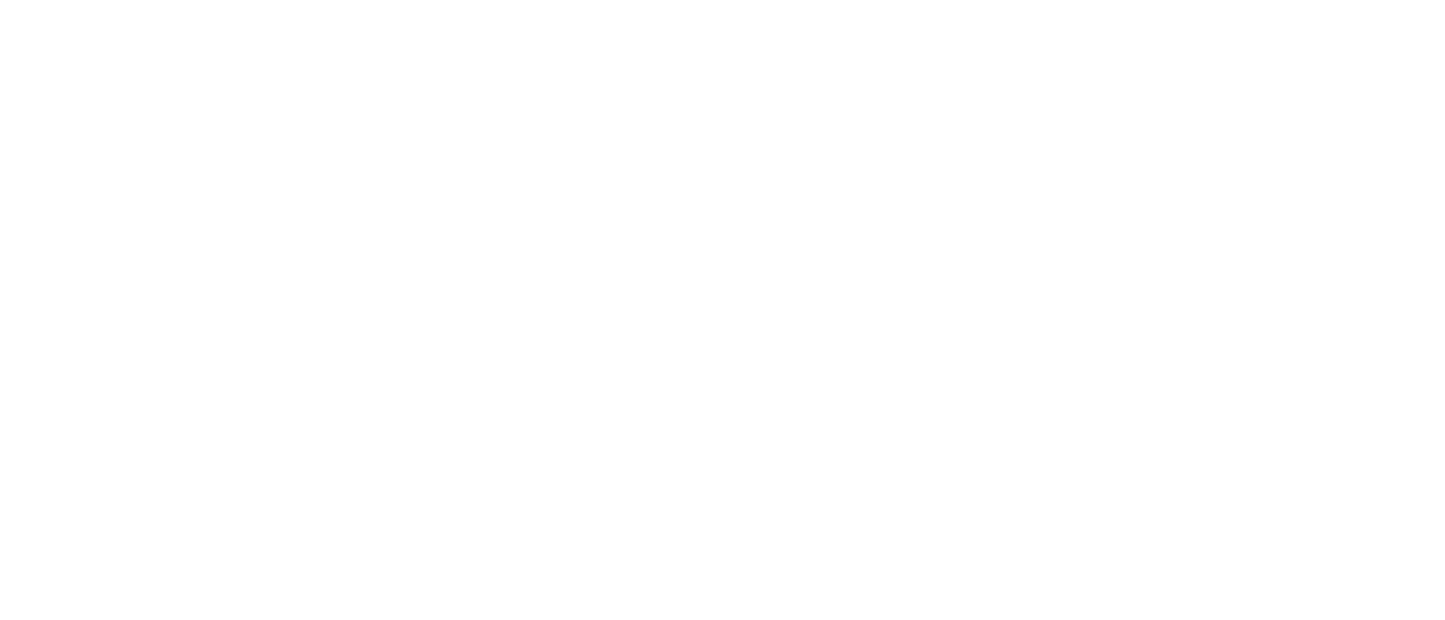 Schaeffmacher Contabilidade